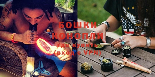 ПСИЛОЦИБИНОВЫЕ ГРИБЫ Магас