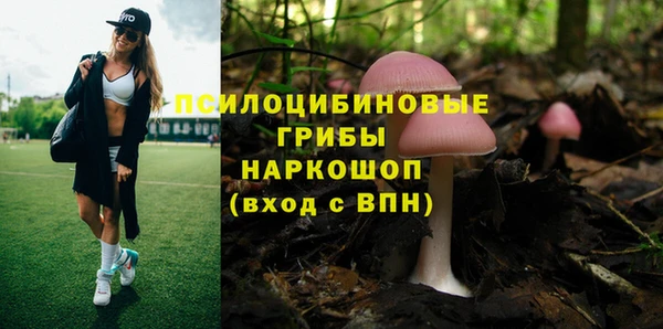 стафф Майский