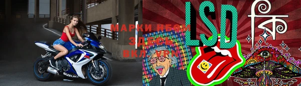 ПСИЛОЦИБИНОВЫЕ ГРИБЫ Магас