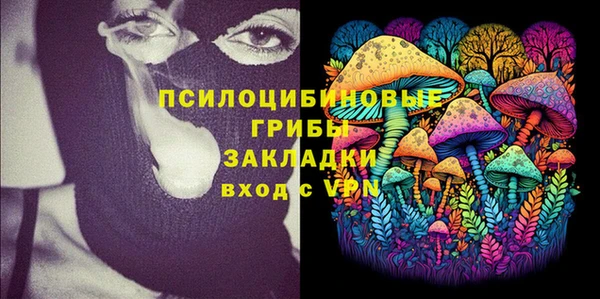 ПСИЛОЦИБИНОВЫЕ ГРИБЫ Магас