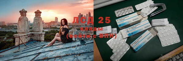 ПСИЛОЦИБИНОВЫЕ ГРИБЫ Магас