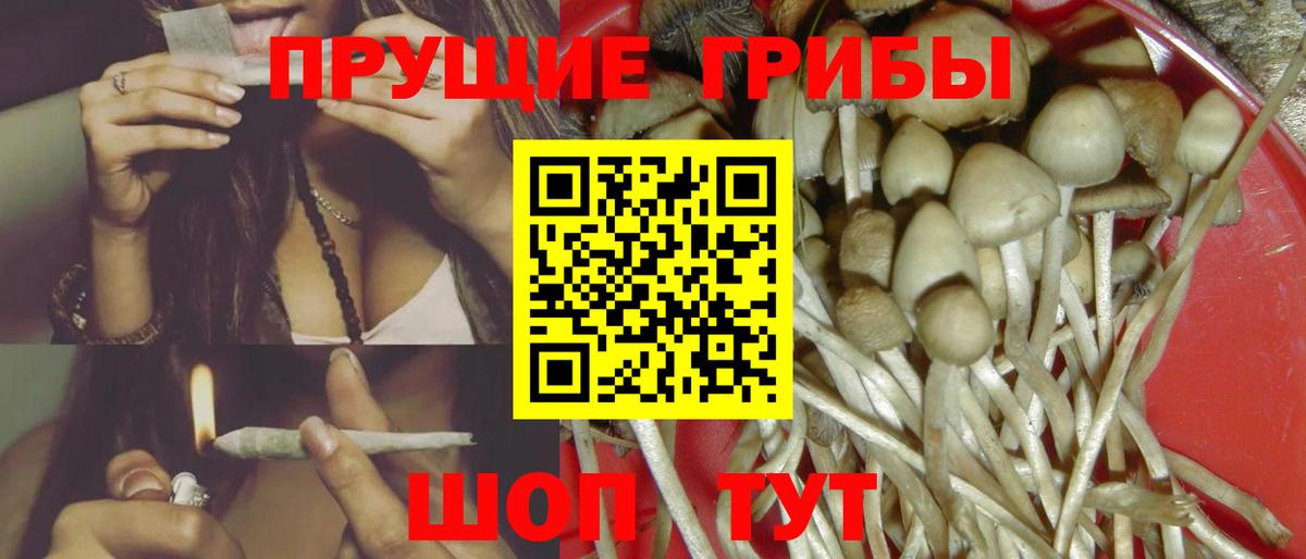 Псилоцибиновые грибы Magic Shrooms Евпатория